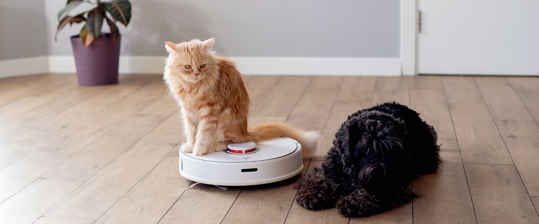 De 6 bedste robotstøvsugere til hundehår i 2024